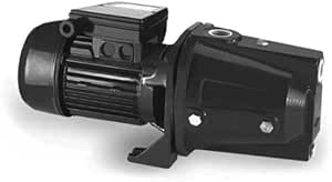 MOTORE AUTODESCANTE HP 1,0 - Kw 0,75 - IP44 - 1"